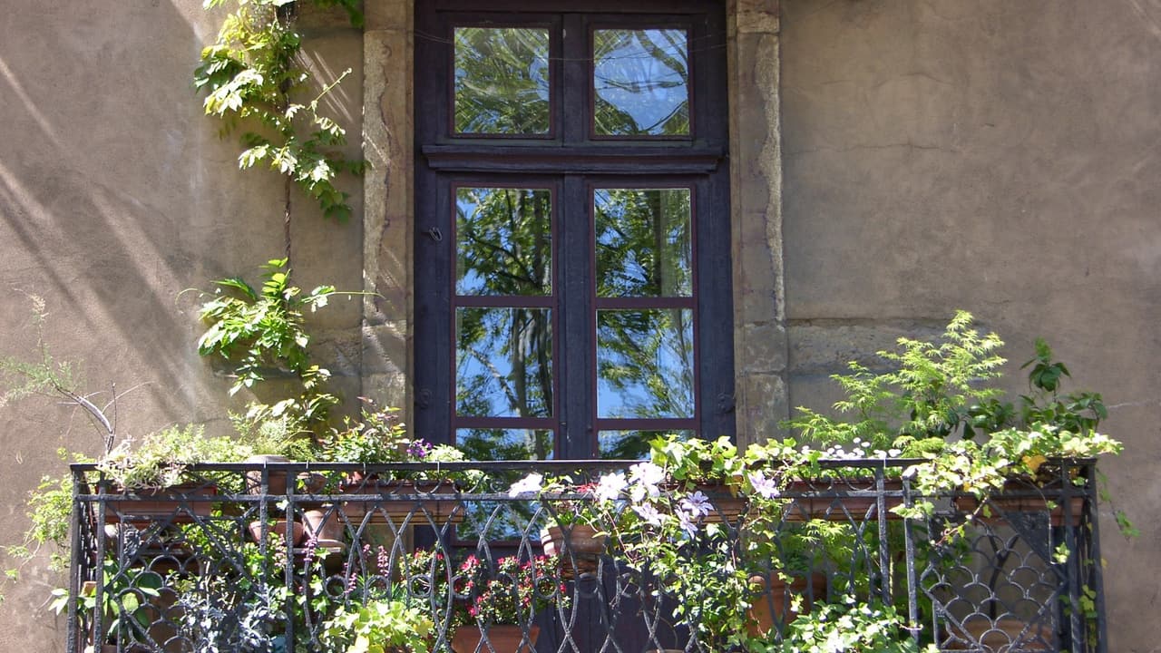 Een balkon met een smeedijzeren hek vol potten met planten, voor een hoog raam.