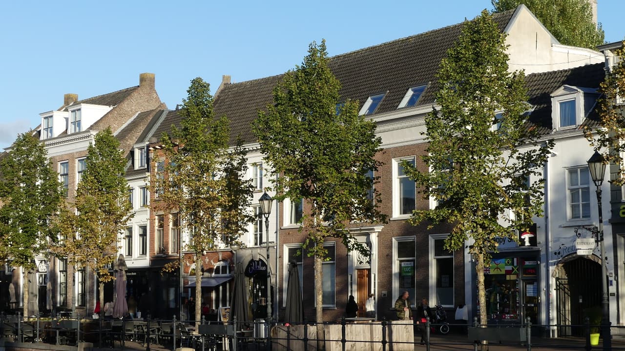 De straat Haven in Breda met bomen, terrassen en historische gevels.