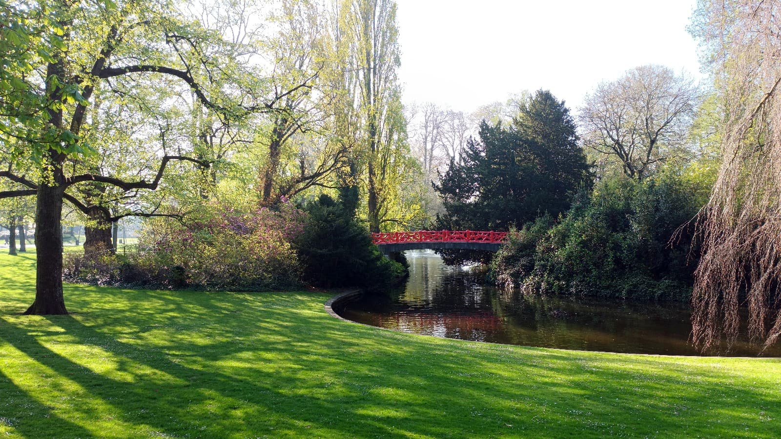 Park Valkenberg in Breda: een groot grasveld met hoge bomen, een waterloop en een rode brug.