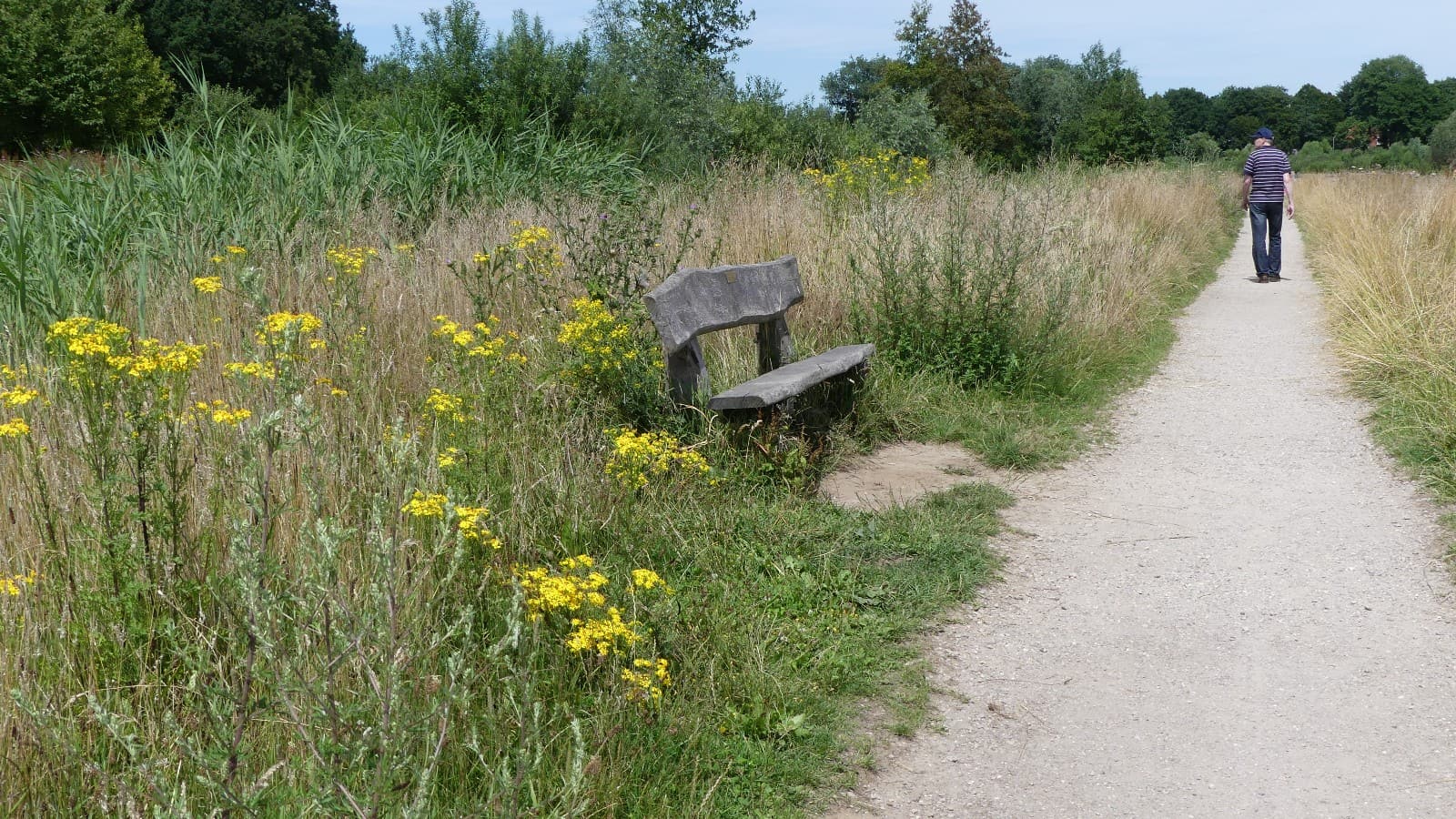 Een zandpad door hoog gras en bloemen in het Markdal bij Breda, met een bankje langs het pad.